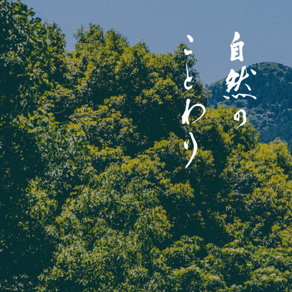自然のことわり